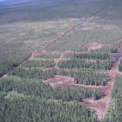 Martison from the air